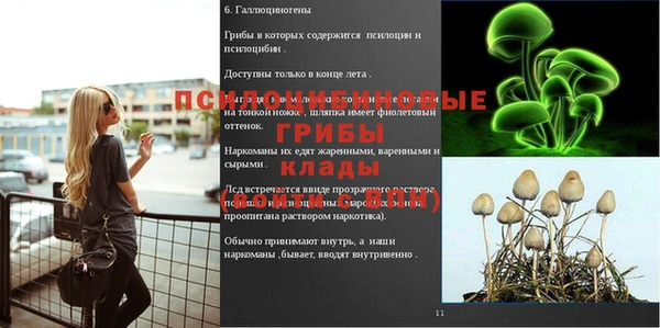 сатива Россошь