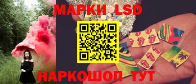 индика Кингисепп