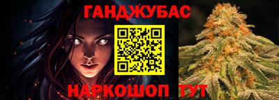 индика Кингисепп