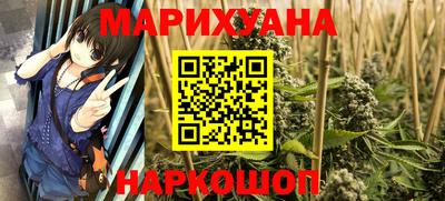 индика Кингисепп