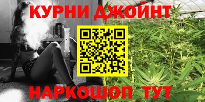 индика Кингисепп