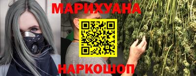 индика Кингисепп