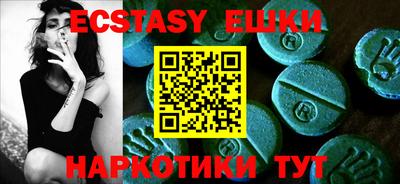 индика Кингисепп