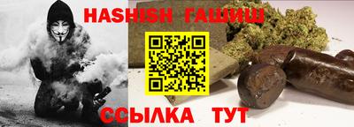 индика Кингисепп