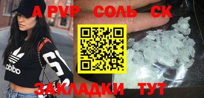 индика Кингисепп