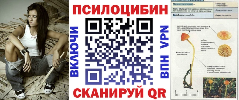 Псилоцибиновые грибы прущие грибы  Муравленко 
