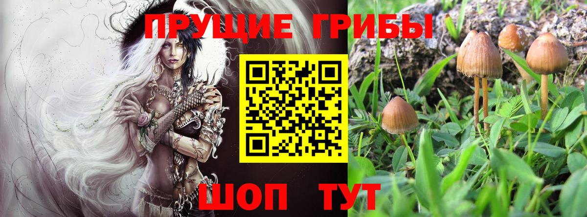 Галлюциногенные грибы мицелий Муравленко